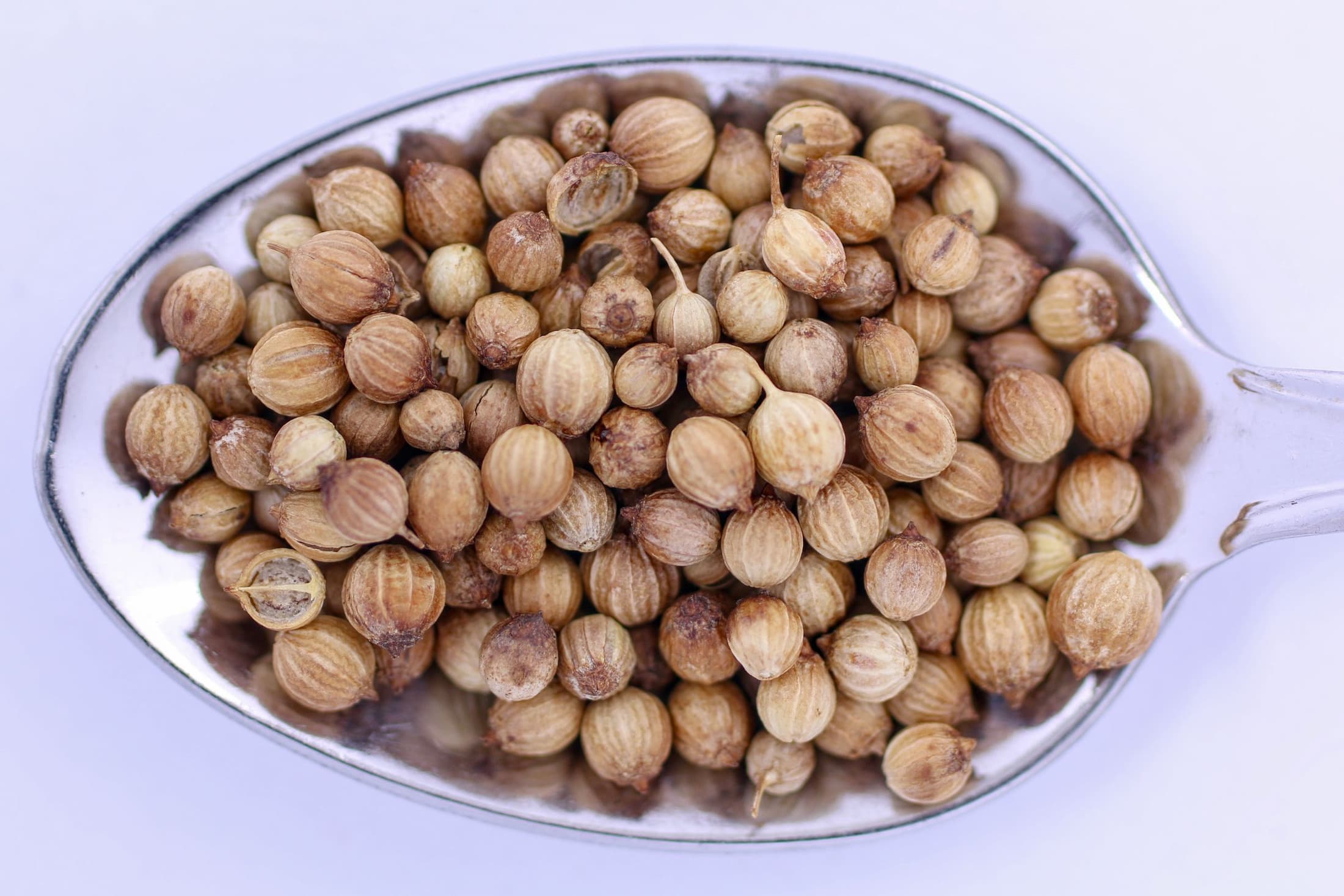 Coriander Seeds